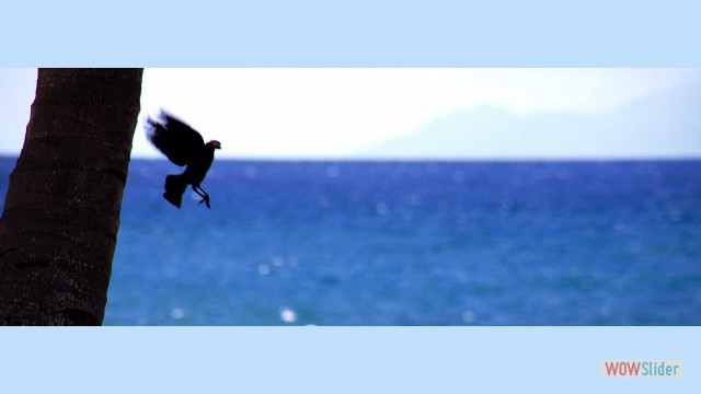 html5 slider